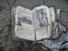 „Ненужната книга“ -  Явор Йорданов,  11Ж